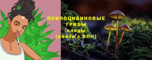 мет Нефтегорск